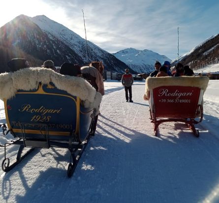 Livigno Ranch Tour Cavalli