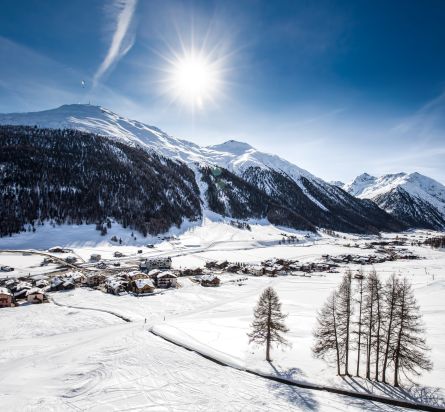 Winter Tours